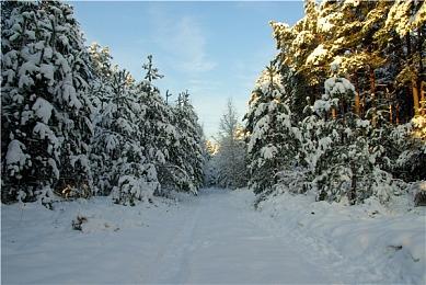 《狂野之心》最新剧情预告公开 游戏2月17日发售